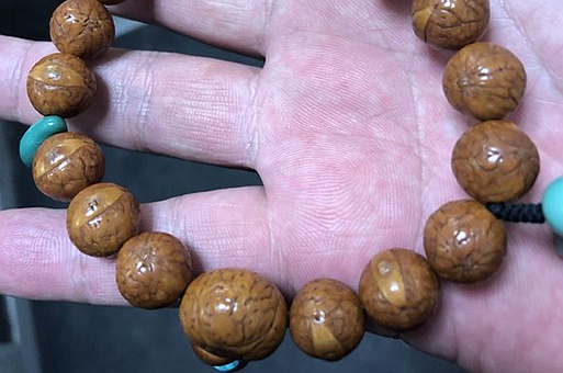 凤眼菩提的尴尬期图片 盘玩五年后凤眼菩提