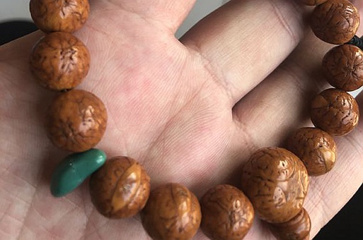 凤眼菩提的尴尬期图片 盘玩五年后凤眼菩提