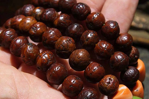 凤眼菩提的尴尬期图片 盘玩五年后凤眼菩提